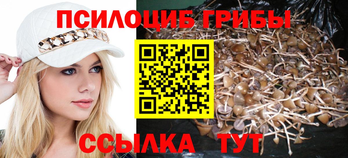 Псилоцибиновые грибы прущие грибы  Галлюциногенные грибы Magic Shrooms  Вход с VPN  Ростов-на-Дону 